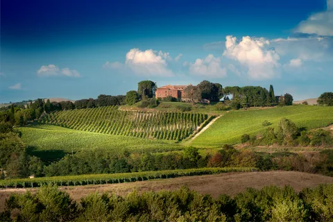 Montalcino: Upplevelse med vinprovning av Brunello