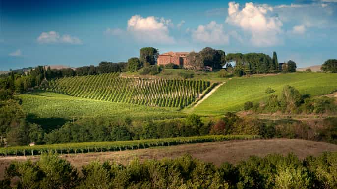 montalcino brunello vinsmaking med lokale snacks