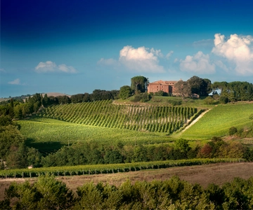 Montalcino: Brunello Wine Tasting Experience