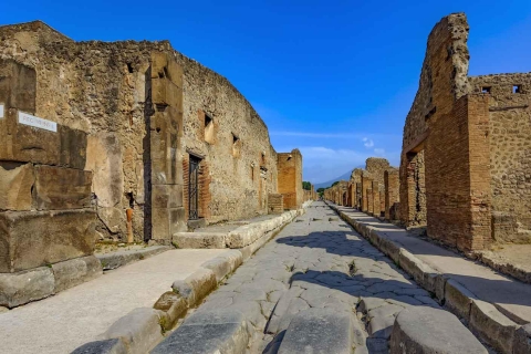 Pompeii en de Vesuvius: privétour van een hele dag