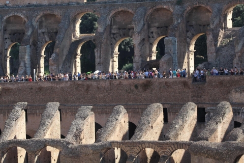 Rome: Skip-the-Line Colosseum, Forum and Palatine Hill Tour Group Tour in English