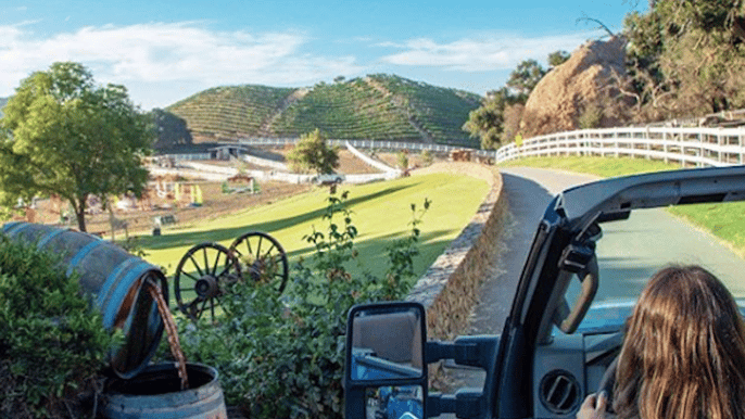 malibu exclusive wine tour at exotic animal sanctuary
