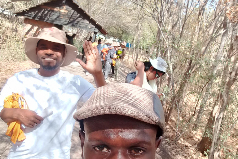Victoria falls Rainforest: Guided Sunrise, day & sunset Tour
