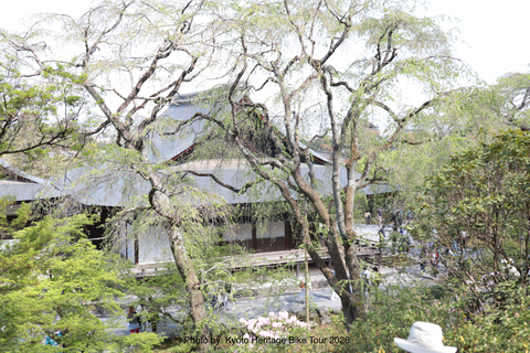 Kyoto: E-Bike Tour of Palace, Castle, Temples & Hidden Gems
