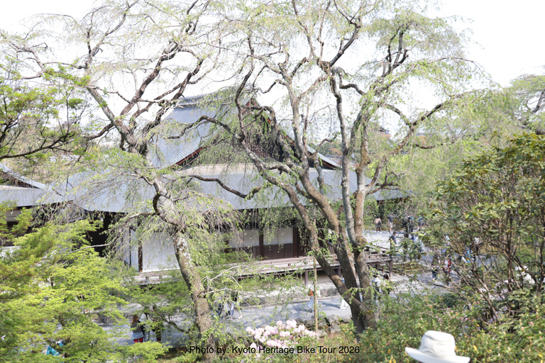 Kyoto: E-Bike Tour of Palace, Castle, Temples & Hidden Gems