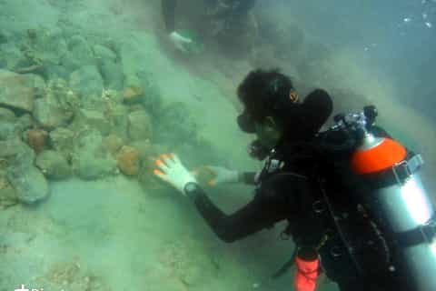 Ko Kut: 2-Day Coral Propagation Course and Reef Diving
