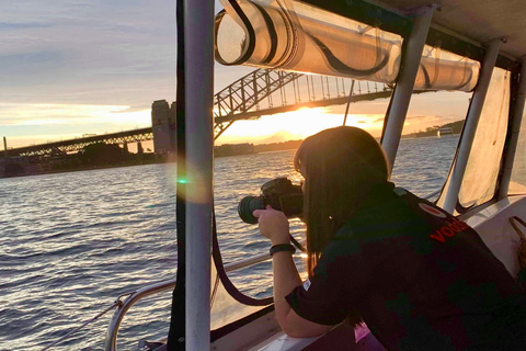 Sydney Harbour: Kryssning med katamaran vid solnedgången