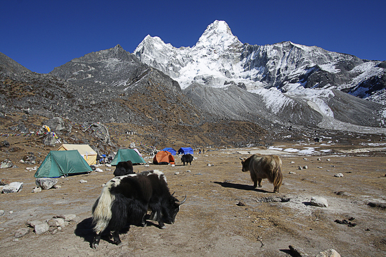 Trek to Ama Dablam Base Camp – 12 Days Tribhuvan International Airport - Meeting Point