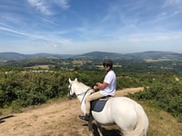 Visite d'une journée du parc national des montagnes de Wicklow de Dublin - Housity