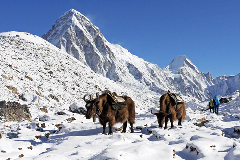 Everest view trek- 15 Days Tribhuvan International airport - Meeting Point