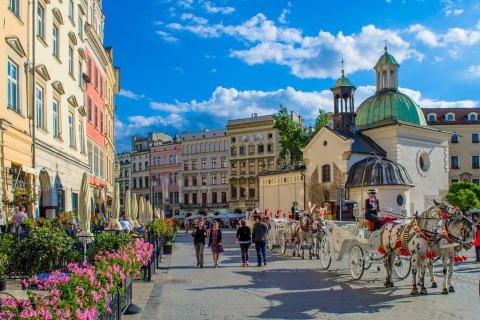 From Warsaw: Krakow Guided Private Tour with Transport Full-day Private Tour of Krakow with Train Tickets