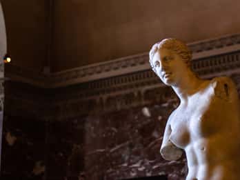 Paris: Louvre Virtual Tour mit Kunsthistoriker Paris: Louvre Virtual Tour mit Kunsthistoriker