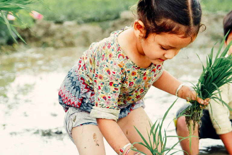 Kathmandu: Paddy Planting Festival with Lunch & Hike