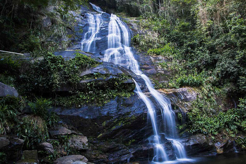 Rio de Janeiro : Jardin botanique et forêt de Tijuca