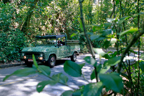 Rio de Janeiro: Botaniska trädgården och Tijuca-skogen