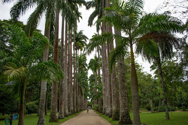 Rio de Janeiro: Botanische Tuin en Tijuca Bos