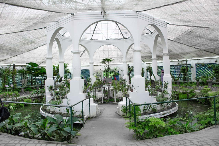 Rio de Janeiro : Jardin botanique et forêt de Tijuca