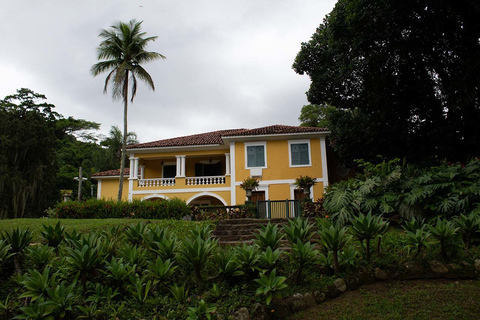 Rio de Janeiro : Jardin botanique et forêt de Tijuca