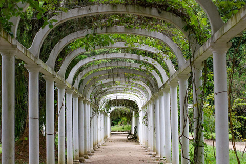 Rio de Janeiro : Jardin botanique et forêt de Tijuca