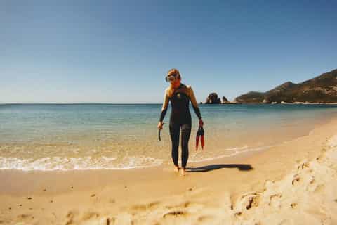 Lisbon: Snorkeling and Wine Tasting in Arrábida