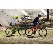 Maspalomas: 1 to 7-Day Mountain Bike Rental