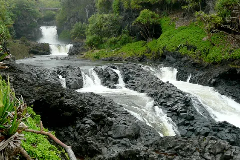 Maui: Full Day Hiking Tour with Lunch