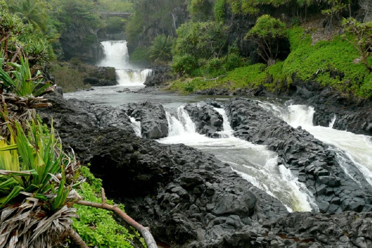 Maui: Ganztägige Wandertour mit Mittagessen