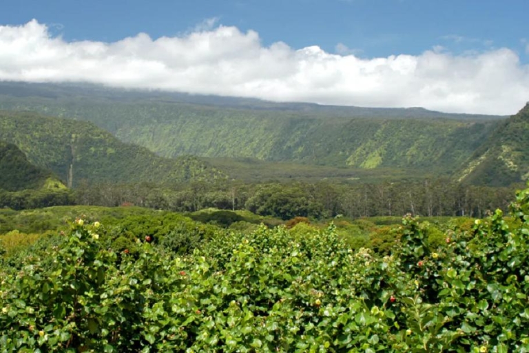 Maui : Journée complète de randonnée avec déjeuner