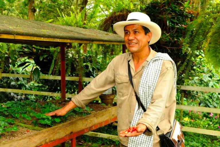 Bogota: kolumbijska wycieczka po kawie z farmąWyjazd z Parku 93