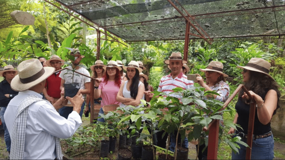 Colombian coffee farm tour and tasting in Armenia - Traveling Spoon