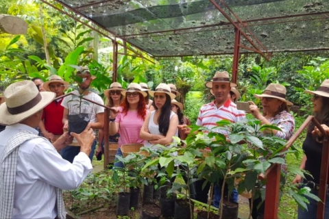 Bogotá: Colombian Coffee Tour with Farm Depart from La Candelaria