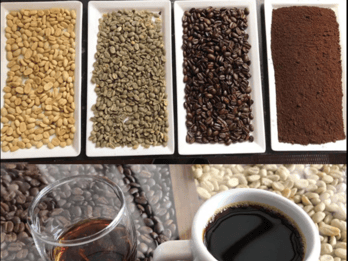 Tour zu einer Kaffeefarm in Cundinamarca