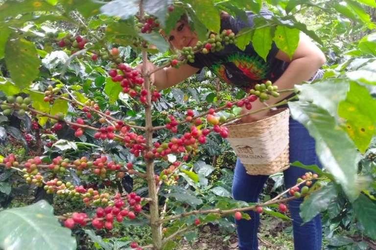 Bogota: kolumbijska wycieczka po kawie z farmąWyjazd z La Candelarii