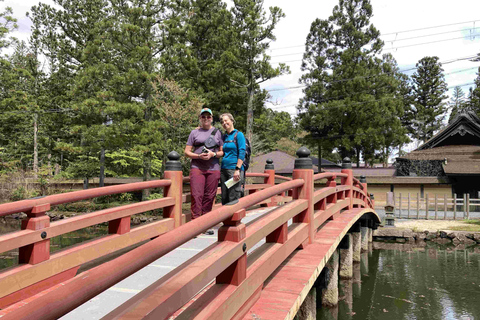 Da Osaka: escursione privata con guida al Monte Koya con veicoloFurgone fino a 7 posti
