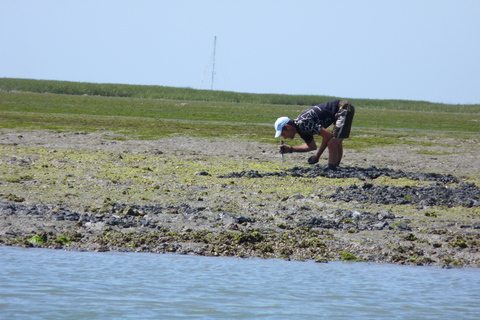From Faro: 4 Stops, 3 Islands in Ria Formosa Catamaran Tour