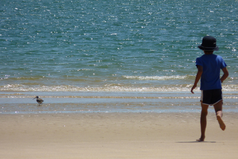 From Faro: 4 Stops, 3 Islands in Ria Formosa Catamaran Tour
