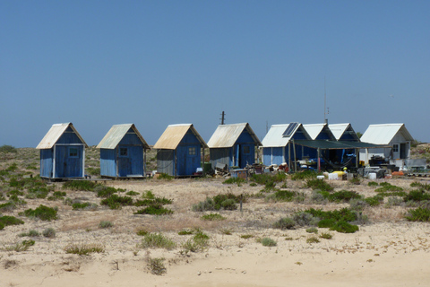 From Faro: 4 Stops, 3 Islands in Ria Formosa Catamaran Tour
