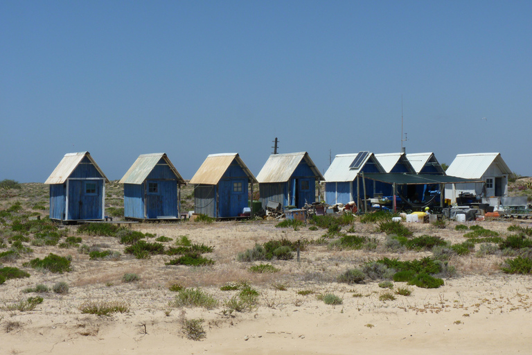 From Faro: 4 Stops, 3 Islands in Ria Formosa Catamaran Tour