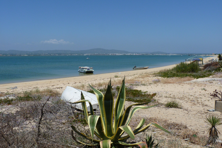 From Faro: 4 Stops, 3 Islands in Ria Formosa Catamaran Tour