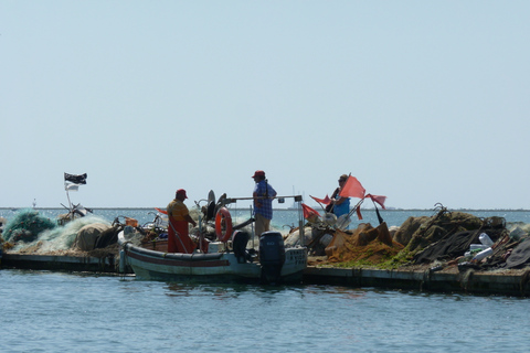 From Faro: 4 Stops, 3 Islands in Ria Formosa Catamaran Tour