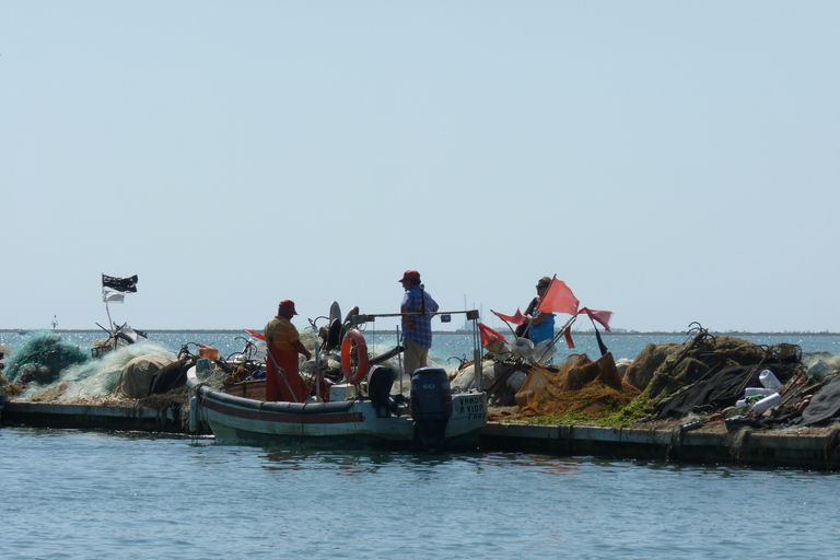 From Faro: 4 Stops, 3 Islands in Ria Formosa Catamaran Tour