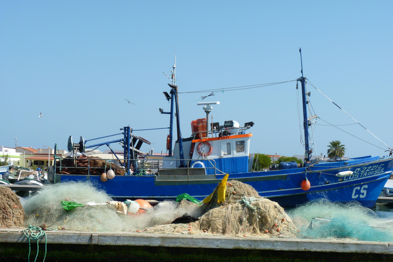 From Faro: 4 Stops, 3 Islands in Ria Formosa Catamaran Tour
