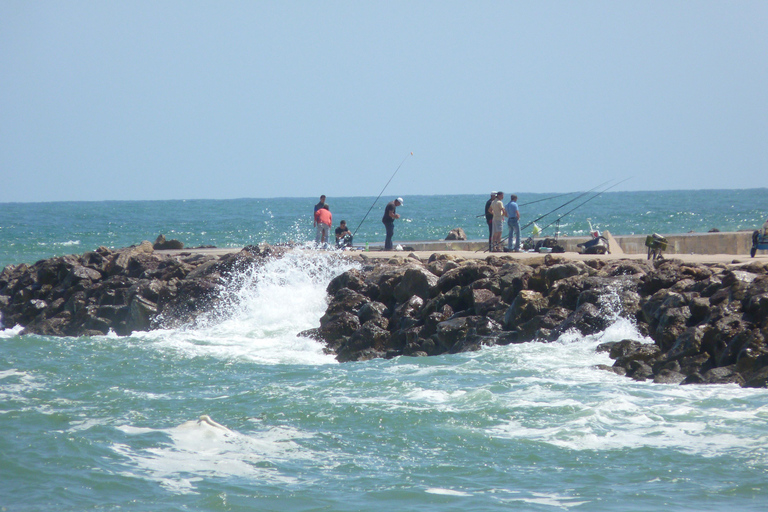 From Faro: 4 Stops, 3 Islands in Ria Formosa Catamaran Tour