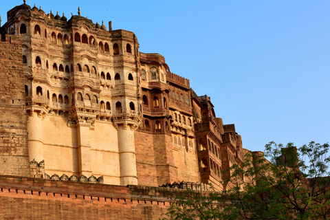 From Delhi: 6-Day Golden Triangle & Jodhpur Private Tour Private Tour with 5* Hotels and Return Flight to Delhi