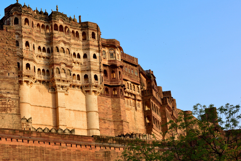 From Delhi: 6-Day Golden Triangle & Jodhpur Private Tour Private Tour with 5* Hotels and Return Flight to Delhi
