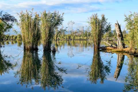 Montepulciano: Birdwatching Walk & Winery Visit with Lunch