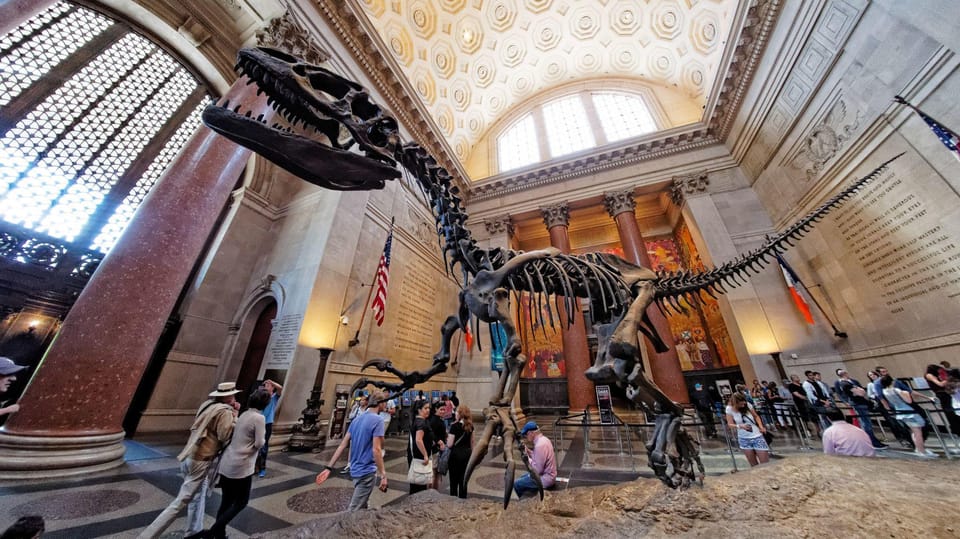 Natural History Museum Dc Bag Policy