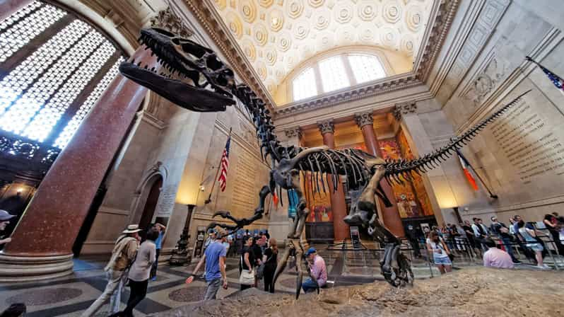 Washington Dc Museum Für Naturgeschichte Private Führung Getyourguide 7425