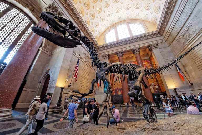 Waszyngton: Wycieczka po Muzeum Historii Naturalnej dla rodzin