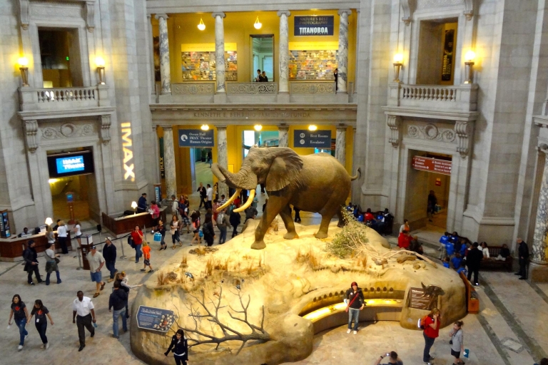 Washington DC: visite du musée d'histoire naturelle pour les familles